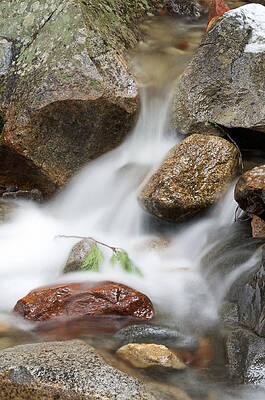 Twig in stream by Jay Seeley Twig in stream by Jay Seeley