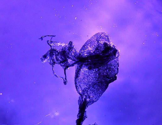 Wall Art - Photograph - Untitled Unknown 3 by Cliff Spohn