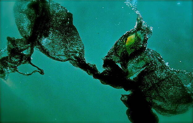 Wall Art - Photograph - Untitled Unknown 4 The Exchange by Cliff Spohn