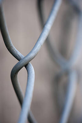 Up close with the Fence by Craig Reinking