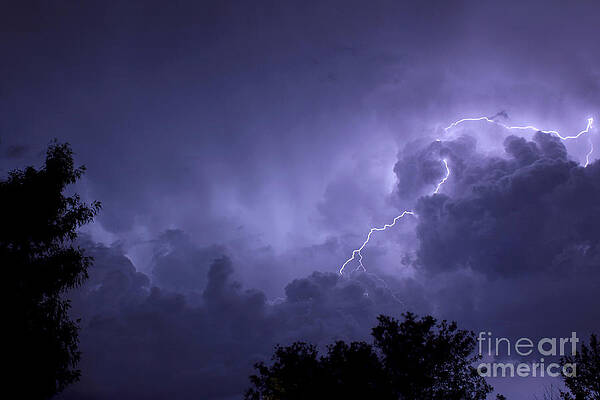 Vegas Thunder by Balanced Art Vegas Thunder by Balanced Art