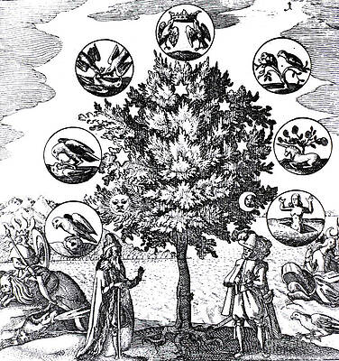 Wall Art - Photograph - Via Veritatis, The Way Of Truth, 1677 by Science Source