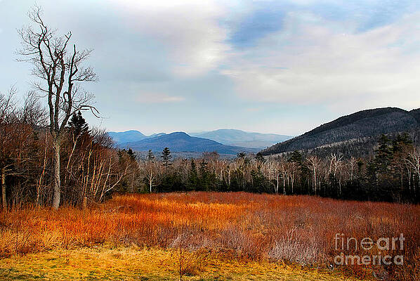 View from Kancamagus Highway by Tom Callan View from Kancamagus Highway by Tom Callan