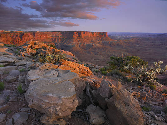 Wall Art - Photograph - View From The Green River Overlook by Tim Fitzharris