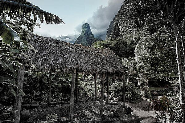 Vintage Hawaii by Brent Schlea Vintage Hawaii by Brent Schlea