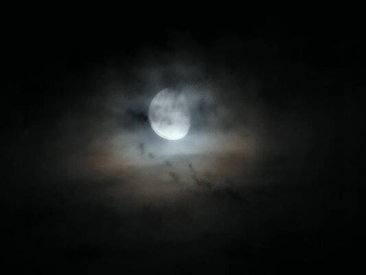 Wall Art - Photograph - Walking With The Moon by Rory Siegel