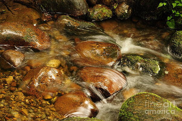 Water and Stones by Jen Brosnan