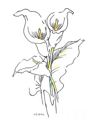 Wall Art - Painting - Watercolor Flower Paintings Lily-1 by Gordon Punt