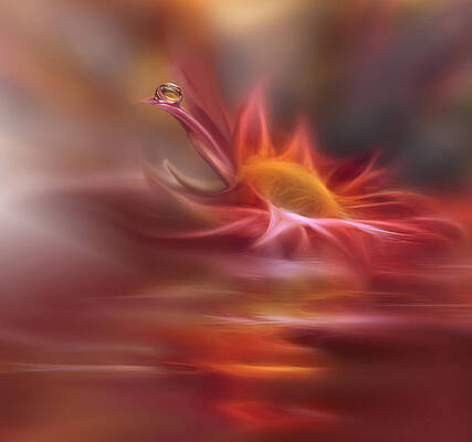 Waves of Symphony... by Juliana Nan