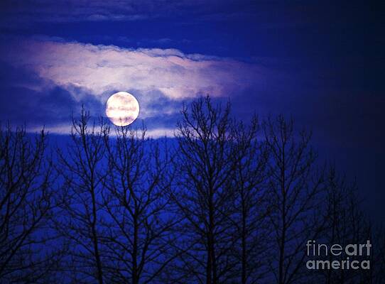 When All The World's Asleep by Ronnie Glover When All The World's Asleep by Ronnie Glover