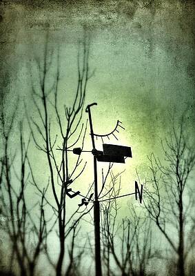 Wall Art - Photograph - Where the wind takes me... by Marianna Mills