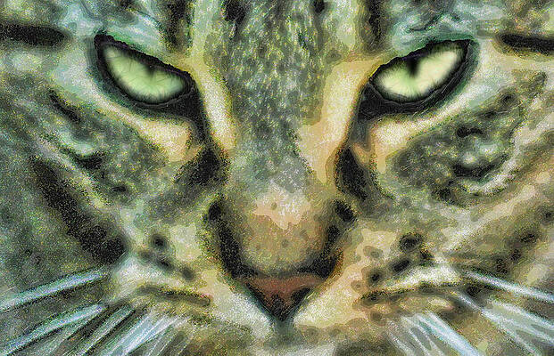 Which One of You is A Mouse by David Glotfelty