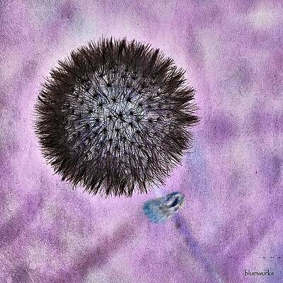 Wall Art - Photograph - Why So Negative! by Matthew Blum