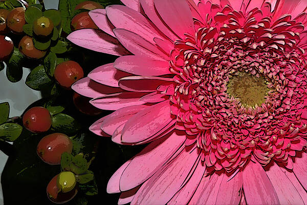 Wildly Pink Mum by Phyllis Denton Wildly Pink Mum by Phyllis Denton