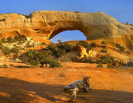 Wall Art - Photograph - Wilson Arch With A Span Of 91 Feet by Tim Fitzharris