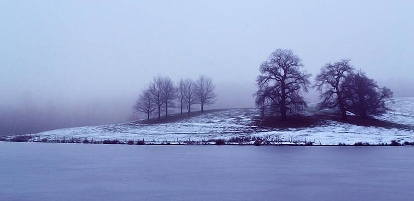 Winter Trees by Bel Menpes Winter Trees by Bel Menpes