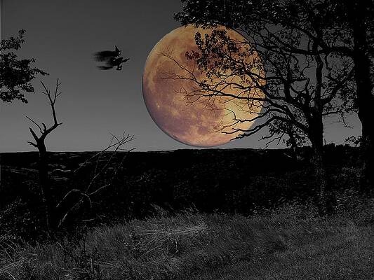 Witching to the moon by Dave Hrusecky
