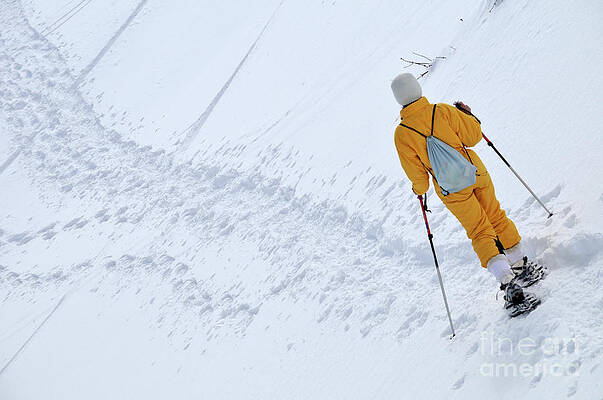 Wall Art featuring the photograph Woman Snowshoeing by Sami Sarkis Photography
