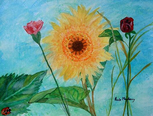 Wonder Of Nature by Paula Maybery Wonder Of Nature by Paula Maybery
