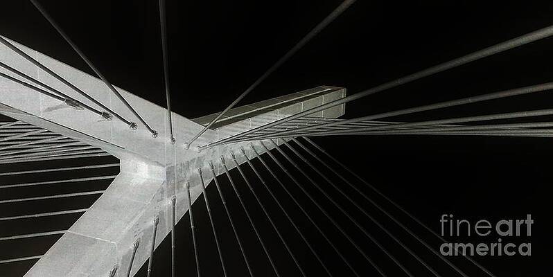 Xray'd Bridge by Stacy Devanney