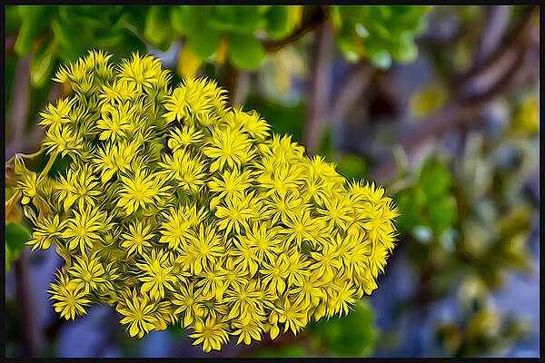 Yellow Painterly Flowers by Craig Stilson