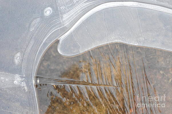 Wall Art - Photograph - Ying Yang by Jim Simak