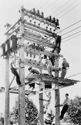 Wall Art - Photograph - Young Men Working On Telephone Poles by Everett