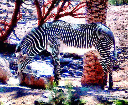 Zoo Patterns by Elinor Mavor Zoo Patterns by Elinor Mavor
