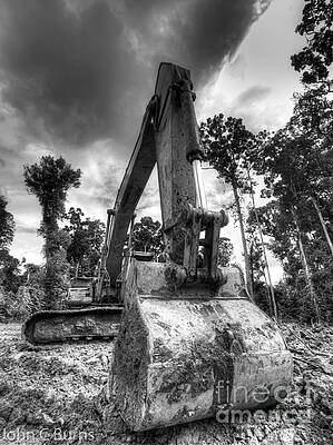 Digging the Rainforest by John Burns