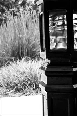 Light My Way by Mitchell Houseman