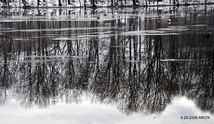  Farrington Lake by ARON