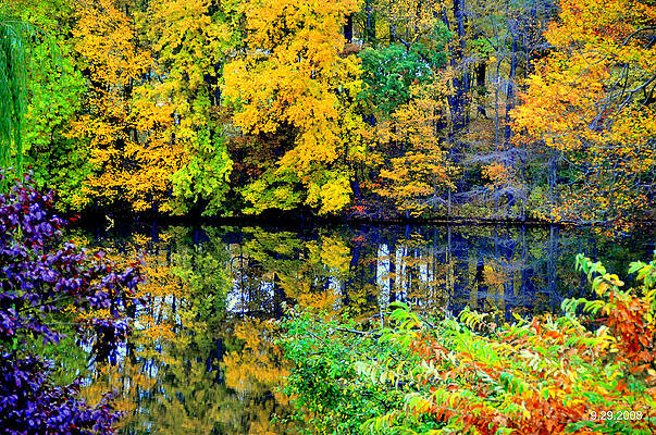  My Back Yard by aron