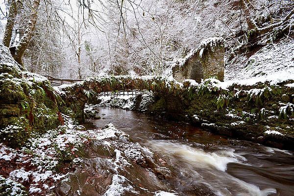 Winter at Reelig by Gavin Macrae Winter at Reelig by Gavin Macrae