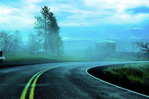 02-2016
-
-
-
foggy Morning In The by Mel Porter