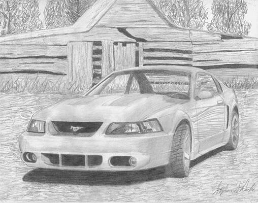 Mustang Cobra Drawings | Fine Art America