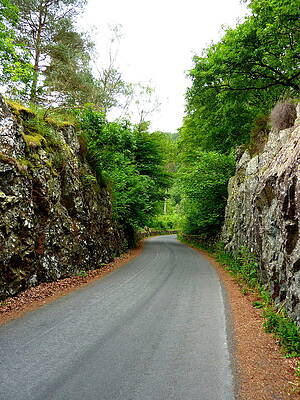 Wall Art - Photograph - Abandon road #1 by Lukasz Ryszka
