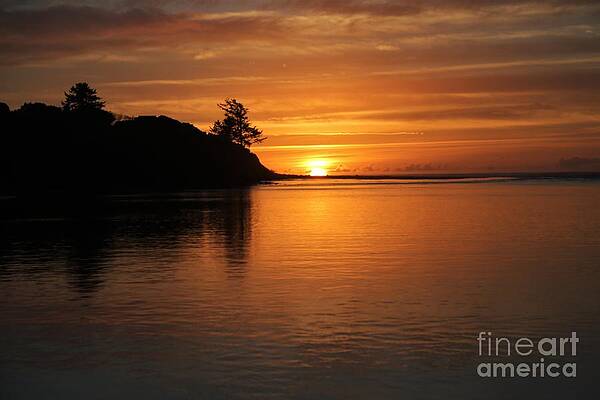 Ablaze by Sheila Ping Ablaze by Sheila Ping