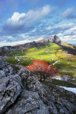 Wall Art - Photograph - Arraba Lands #1 by Mikel Martinez de Osaba