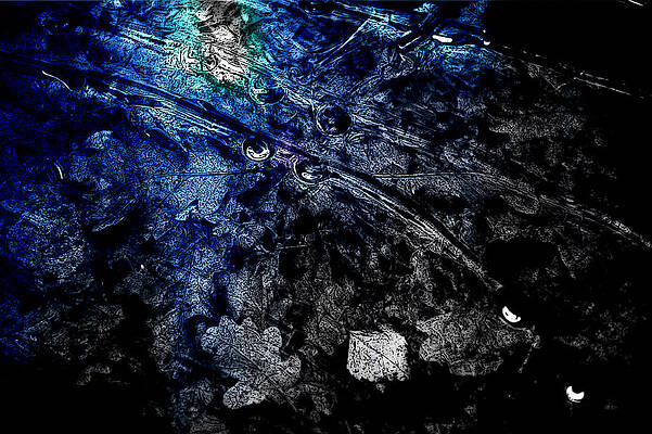 Wall Art - Photograph - Leaves under Ice by Randi Grace Nilsberg