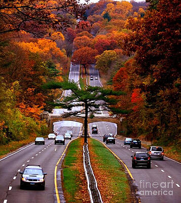 Wall Art - Photograph - Autumn on the Merritt #2 by Xine Segalas