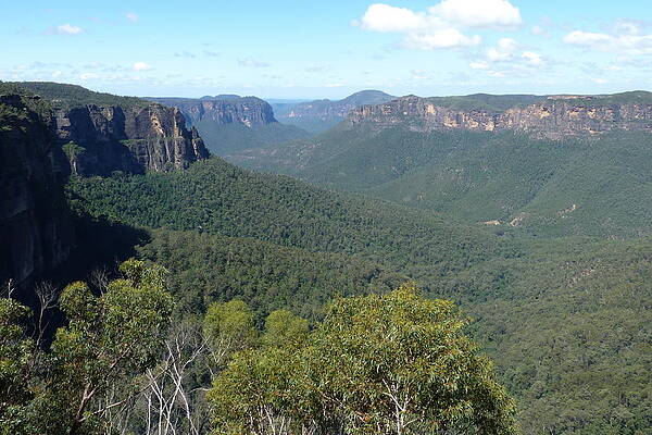 Blue Mountains by Carla Parris Blue Mountains by Carla Parris