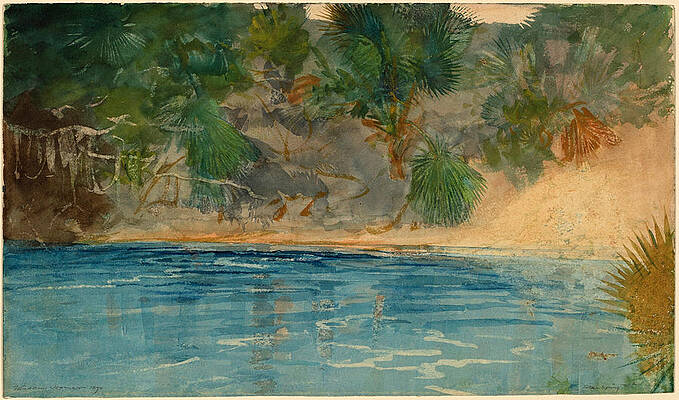 Blue Spring. Florida Print by Winslow Homer