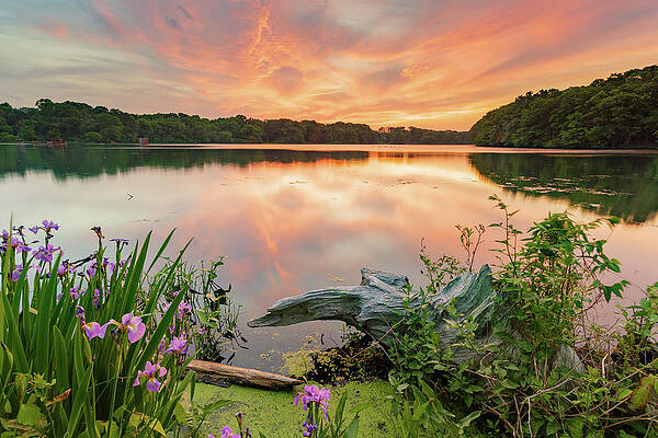 Wall Art - Photograph - Central Pond Sunset #1 by Bryan Bzdula