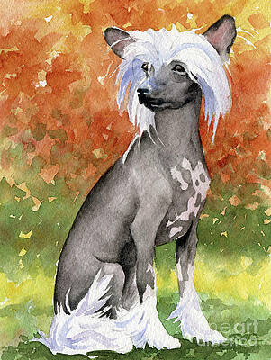 Chinese Crested in hydrangeas painting GARDEN FLAG hairless Dog ART print 