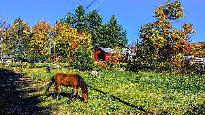 Classic Vermont Scene by Scenic Vermont Photography Classic Vermont Scene by Scenic Vermont Photography