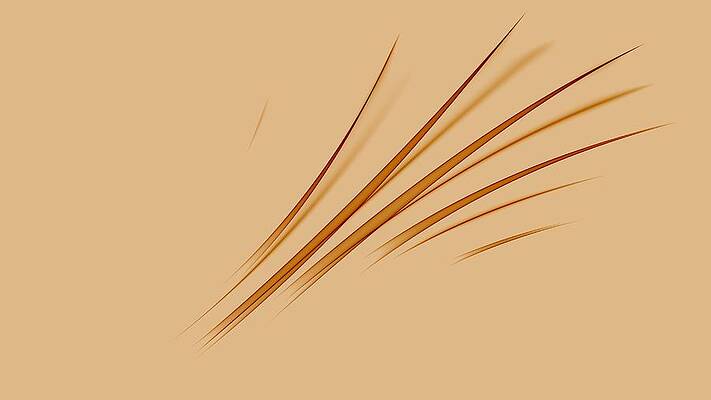 Curves Abstract 001 by Wayne Wood Curves Abstract 001 by Wayne Wood