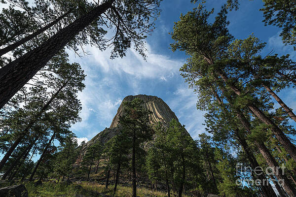 Wall Art - Photograph - Devils Tower From Below   #1 by Michael Ver Sprill