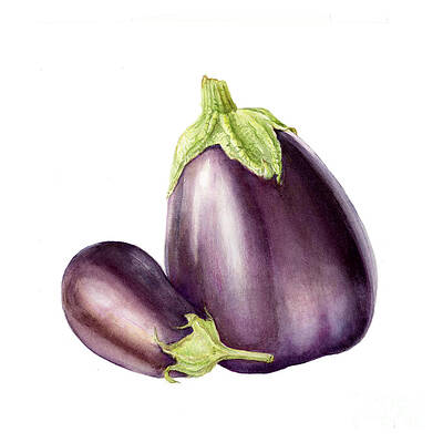 eggplants by Fran Henig eggplants by Fran Henig