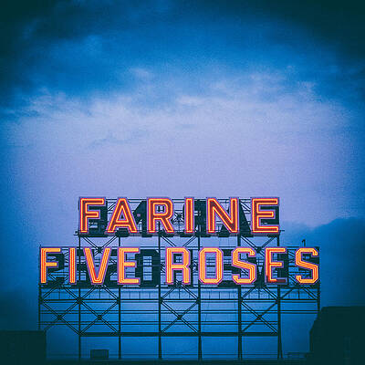 Farine Five Roses by Tanya Harrison Farine Five Roses by Tanya Harrison