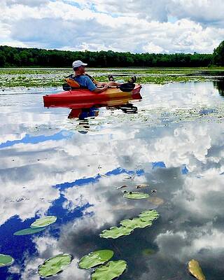 Floating in the Sky by Sarah Lilja Floating in the Sky by Sarah Lilja